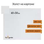 Холст Calligrata на картоне хлопок 100% размер 40*50 см, ширина 3 мм