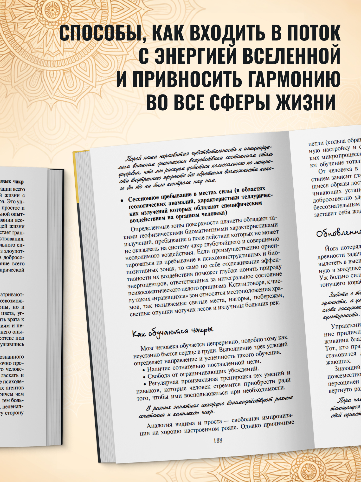 Книга Харвест Сила чакр Управляй энергией своей жизни - фото 4