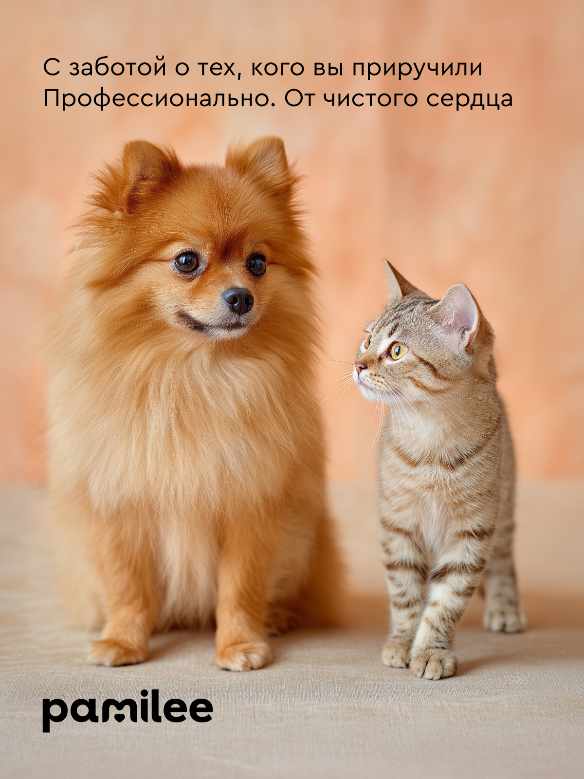 Шампунь очищающий Pamilee универсальный для кошек и собак - фото 14