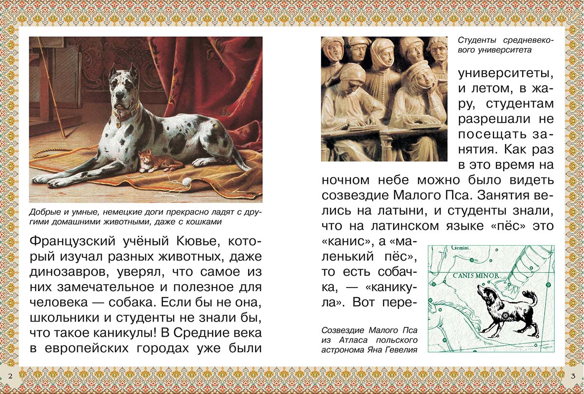 Книга Белый город Каникулы и будни собаки - фото 2