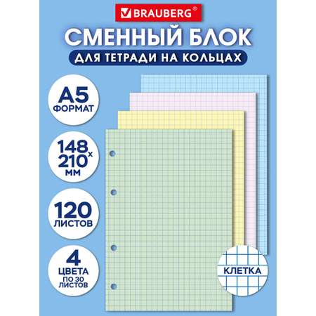 Тетрадь со сменным блоком Brauberg клетка 120 лист.