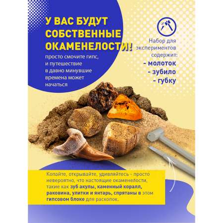 Набор для опытов KOSMOS Experiments