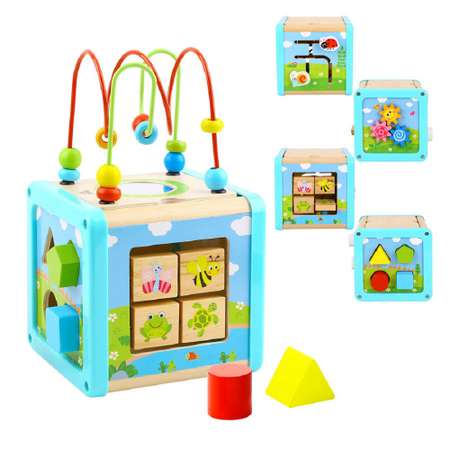 Игрушка Tooky Toy сортер