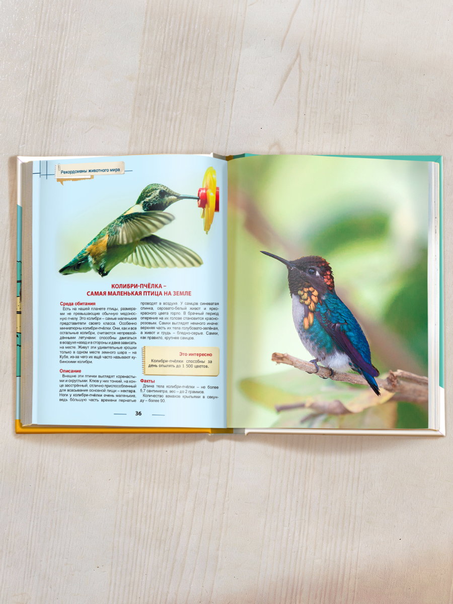 Книга Проф-Пресс Энциклопедия для детей. Рекордсмены животного мира - фото 6