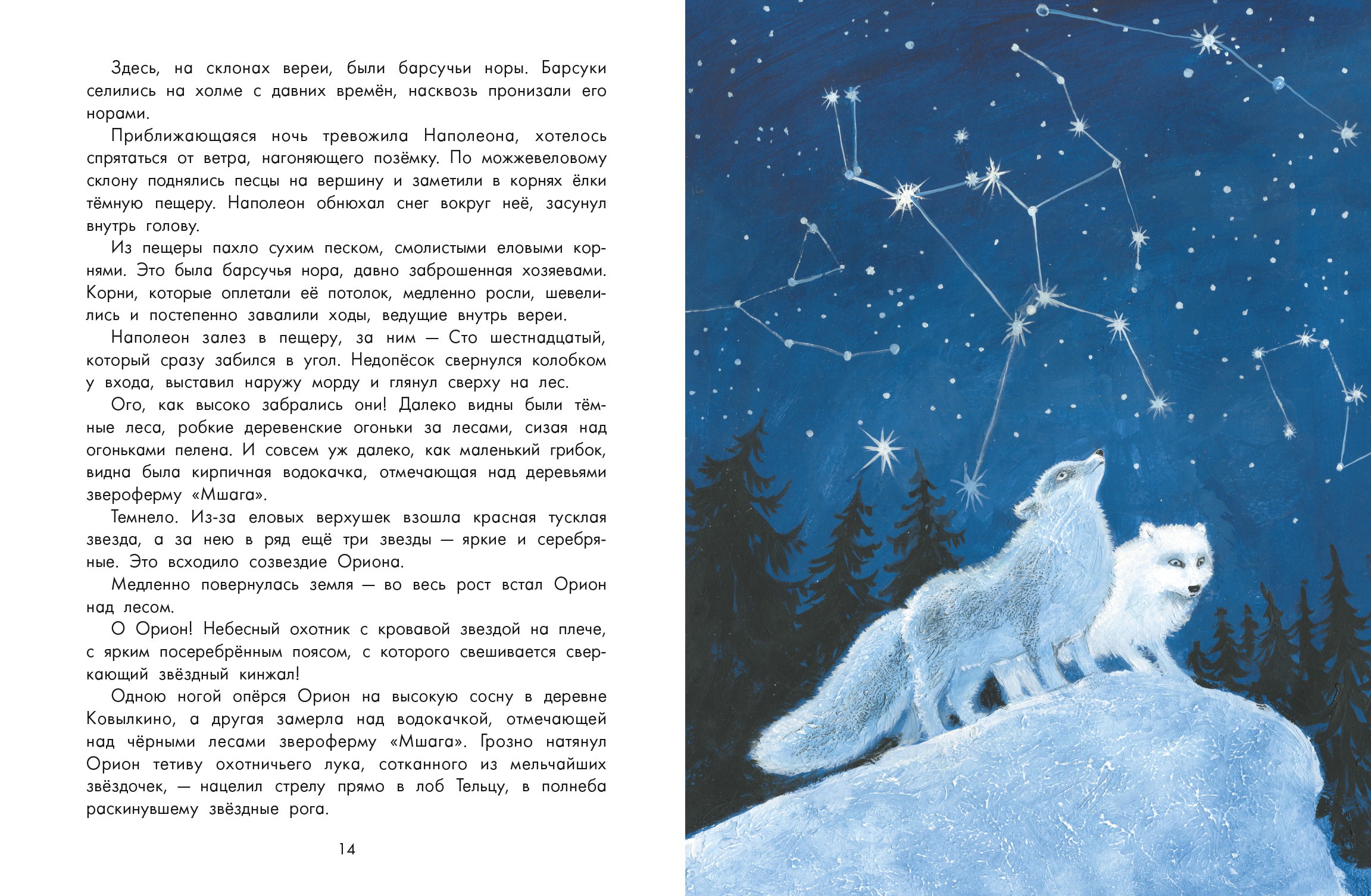 Книга Качели Недопесок - фото 7