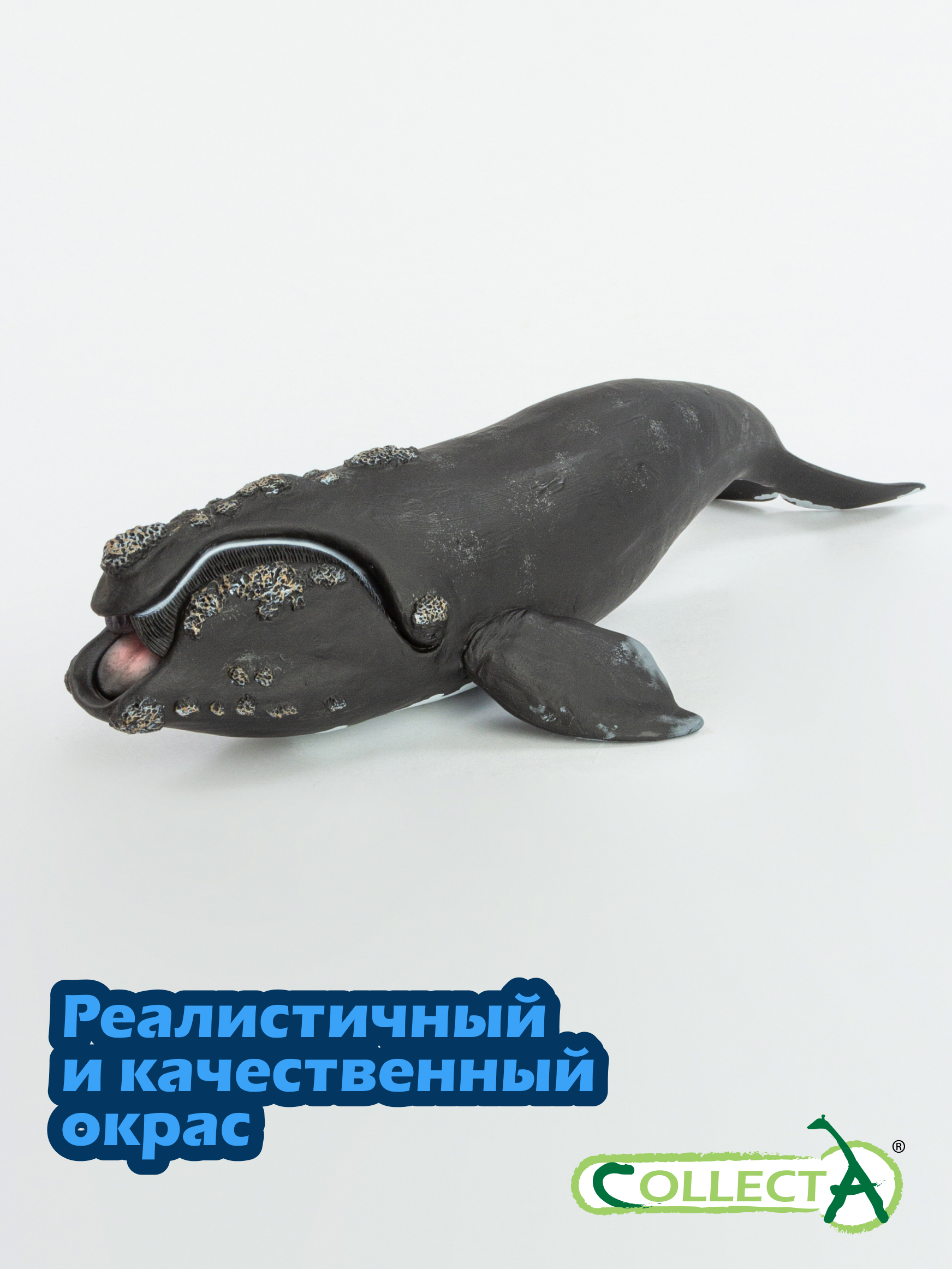 Фигурка Collecta Южный кит - фото 4