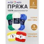 Пряжа для вязания Astra Premium 100г 80м 5шт