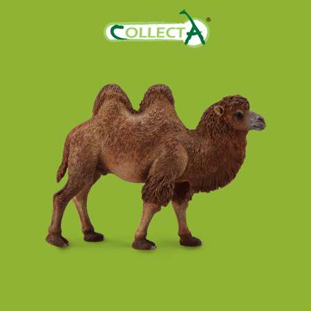 Фигурка Collecta Двугорбый верблюд
