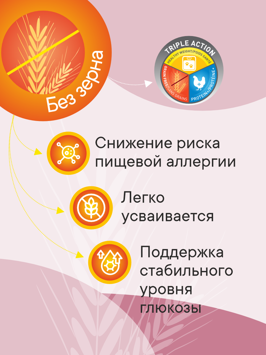Корм сухой 1st Choice беззерновой для стерилизованных кошек на курице с бататом 5кг - фото 2