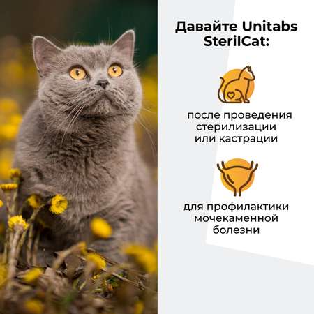 Витамины для кошек Unitabs Steril Cat с Q10 120таблеток