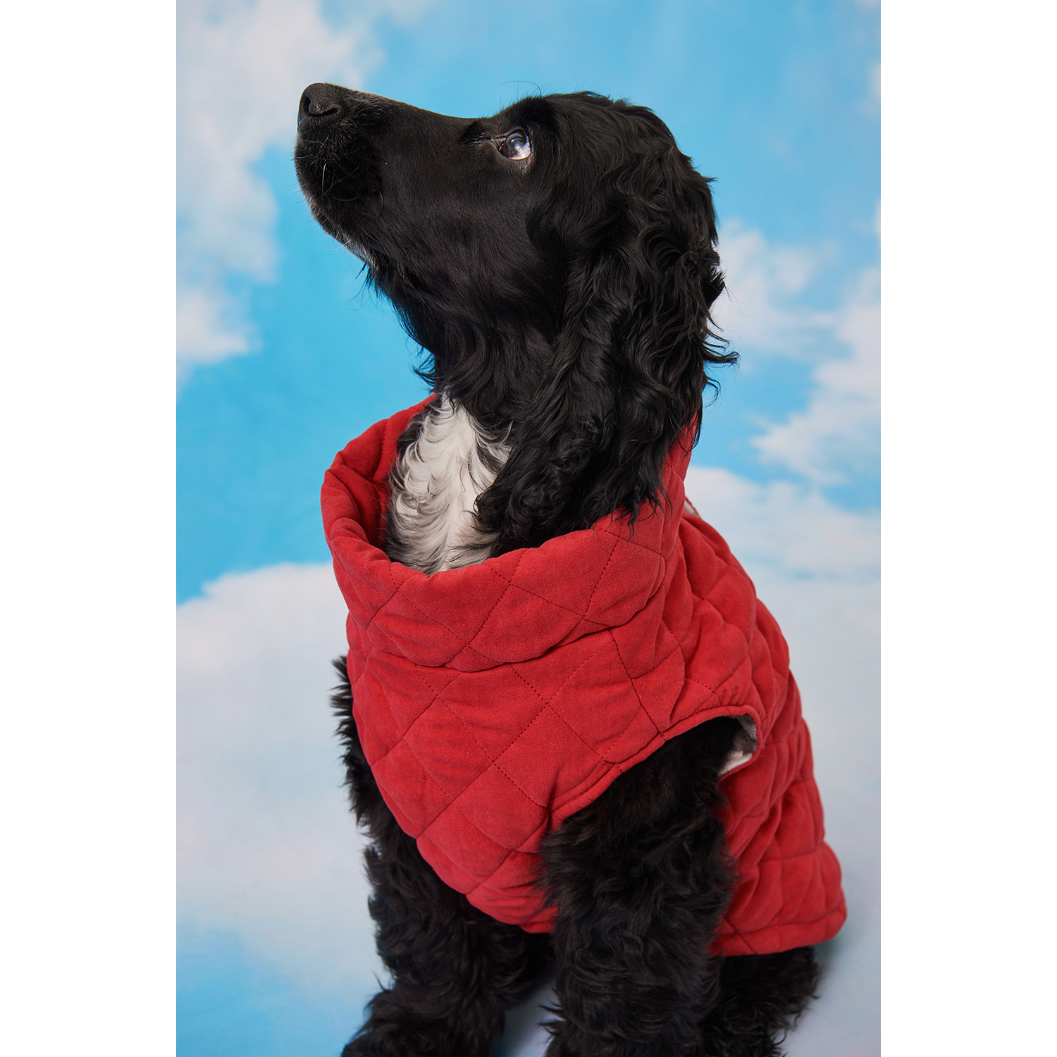 Жилет для собак Зоозавр красный 25 - фото 9