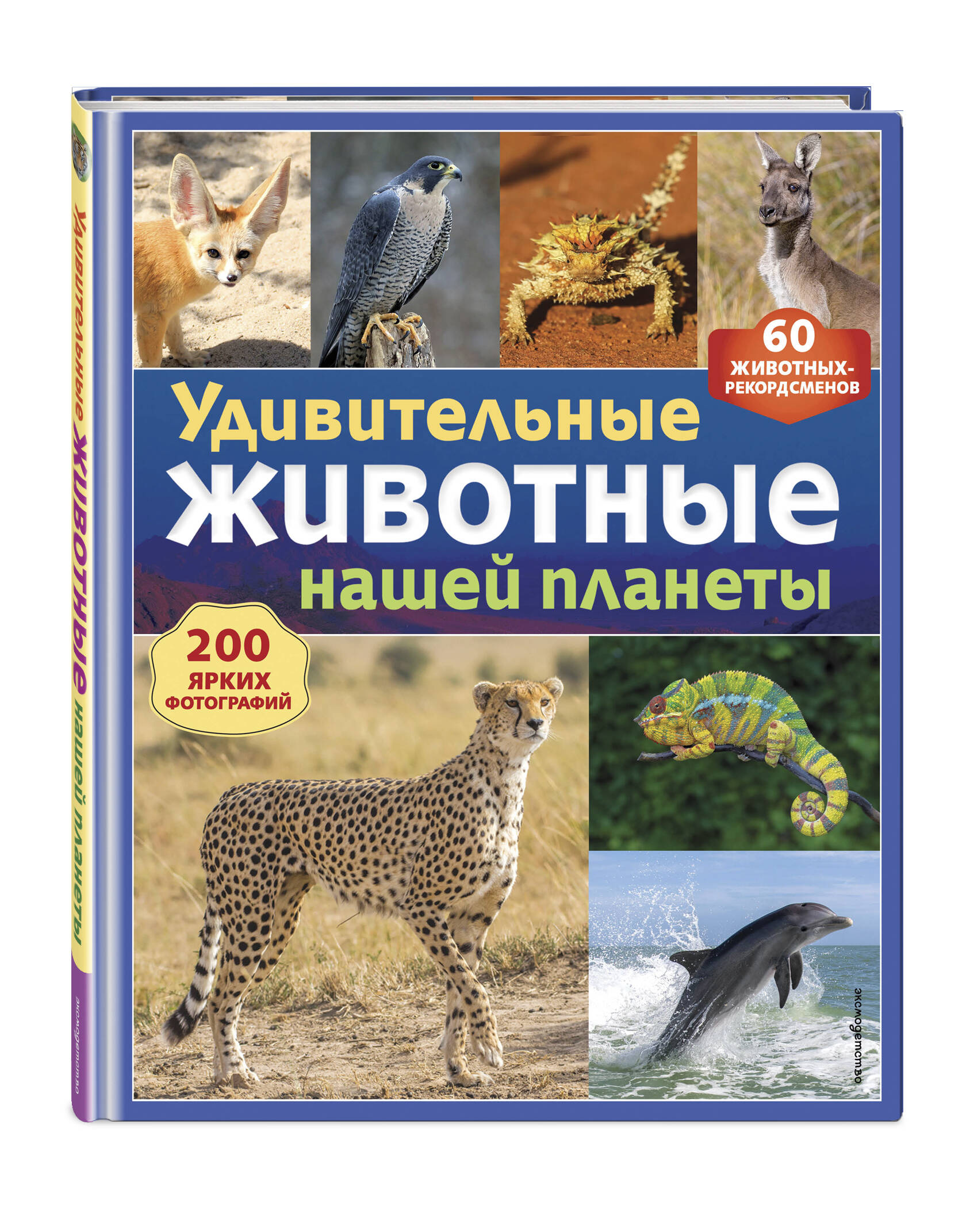 Книга Эксмо Удивительные животные нашей планеты - фото 1