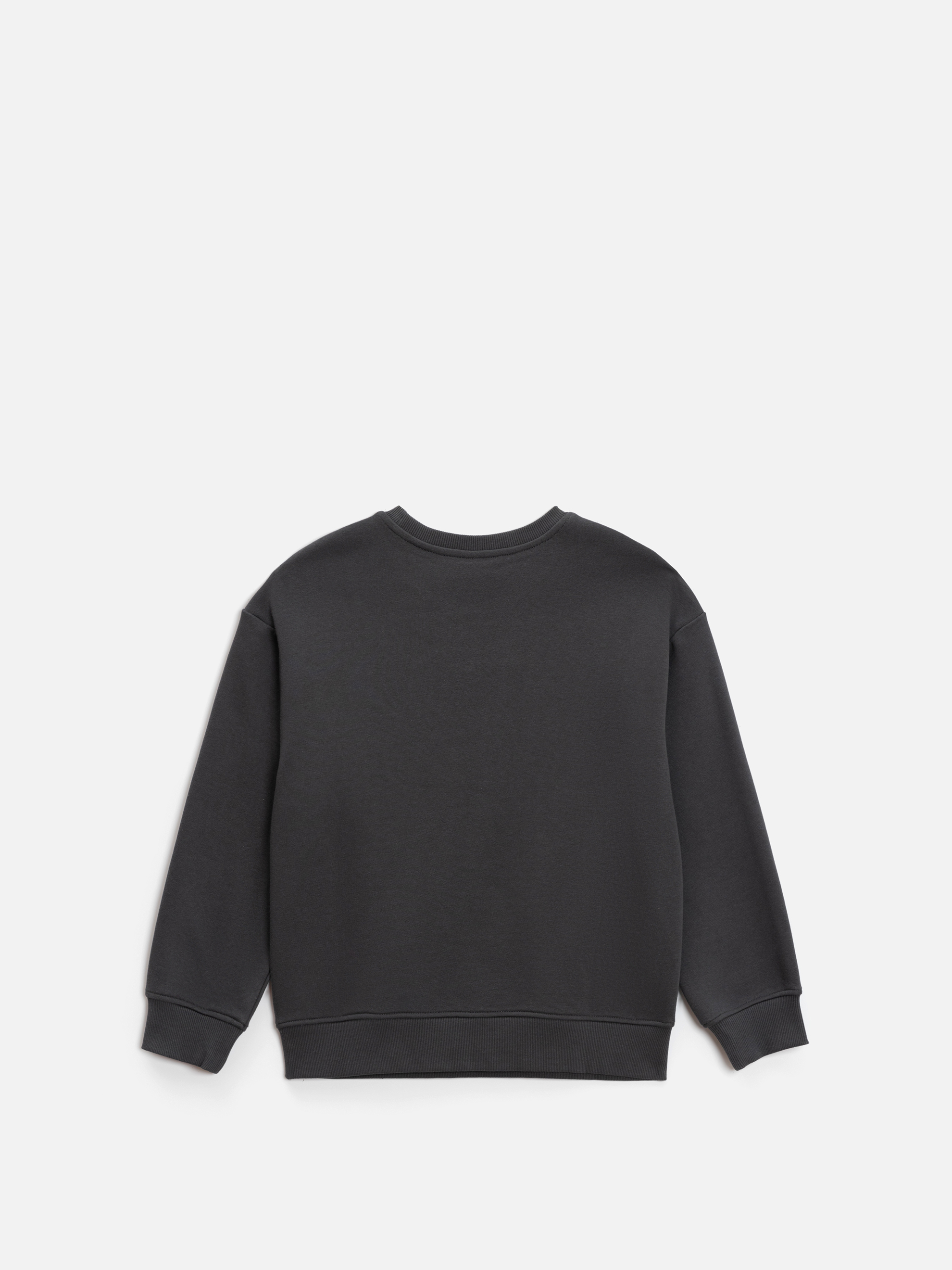 Свитшот Acoola 20230170024_0093553 - фото 6