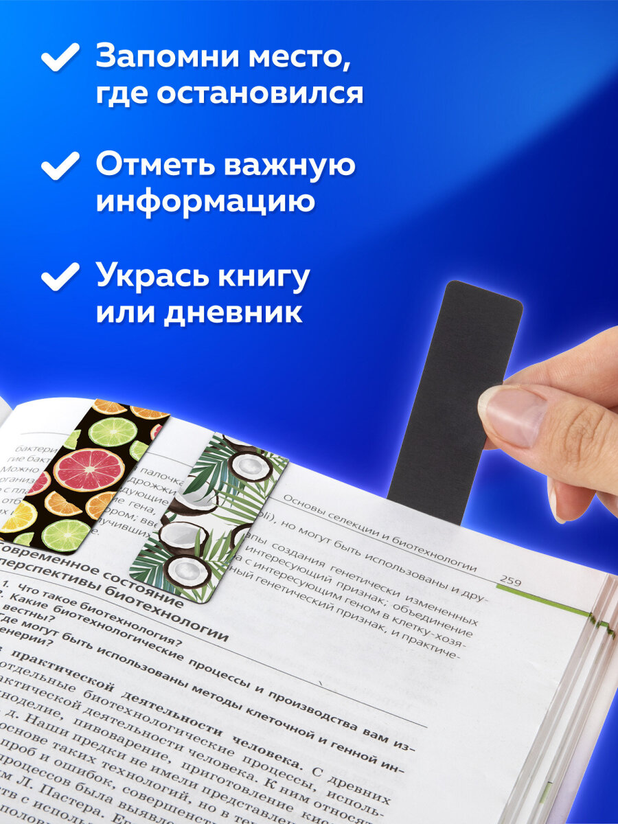 Магнитная закладка Brauberg 6 шт. - фото 3