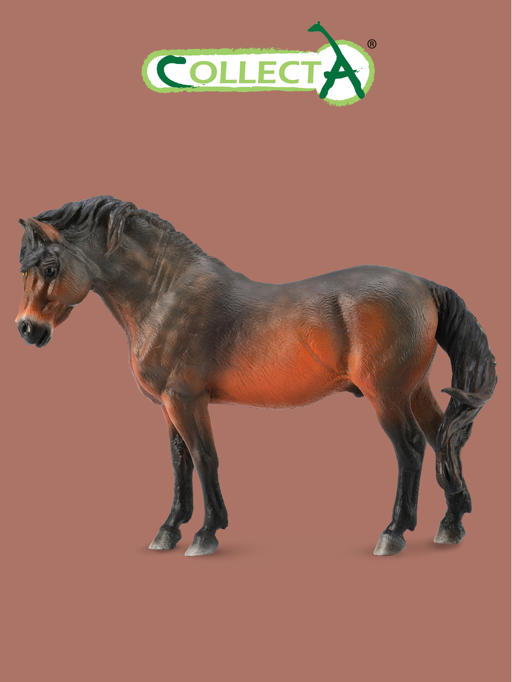 Фигурка Collecta Дартмурский Пони - фото 1