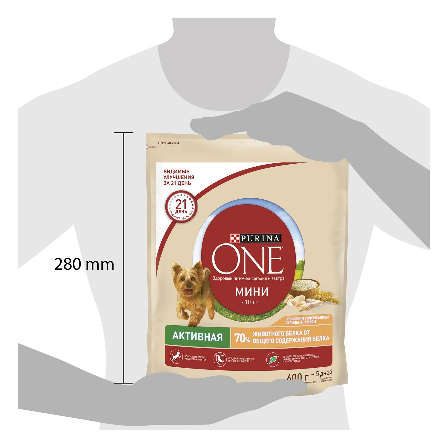 Корм для собак Purina One Mini активных мелких пород курица-рис 600г - фото 11