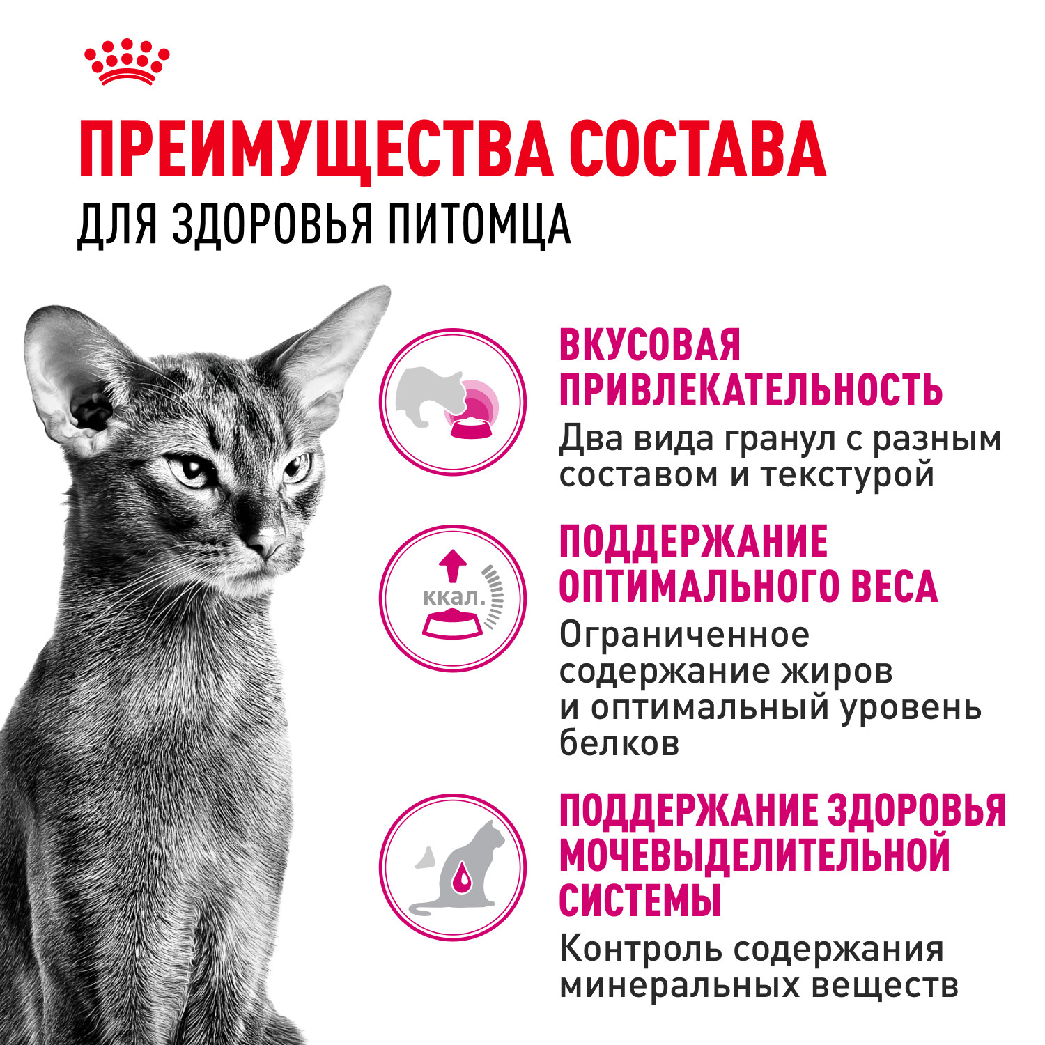 Корм сухой для кошек ROYAL CANIN Exigent Savour 10кг привередливых к вкусу продукта - фото 3