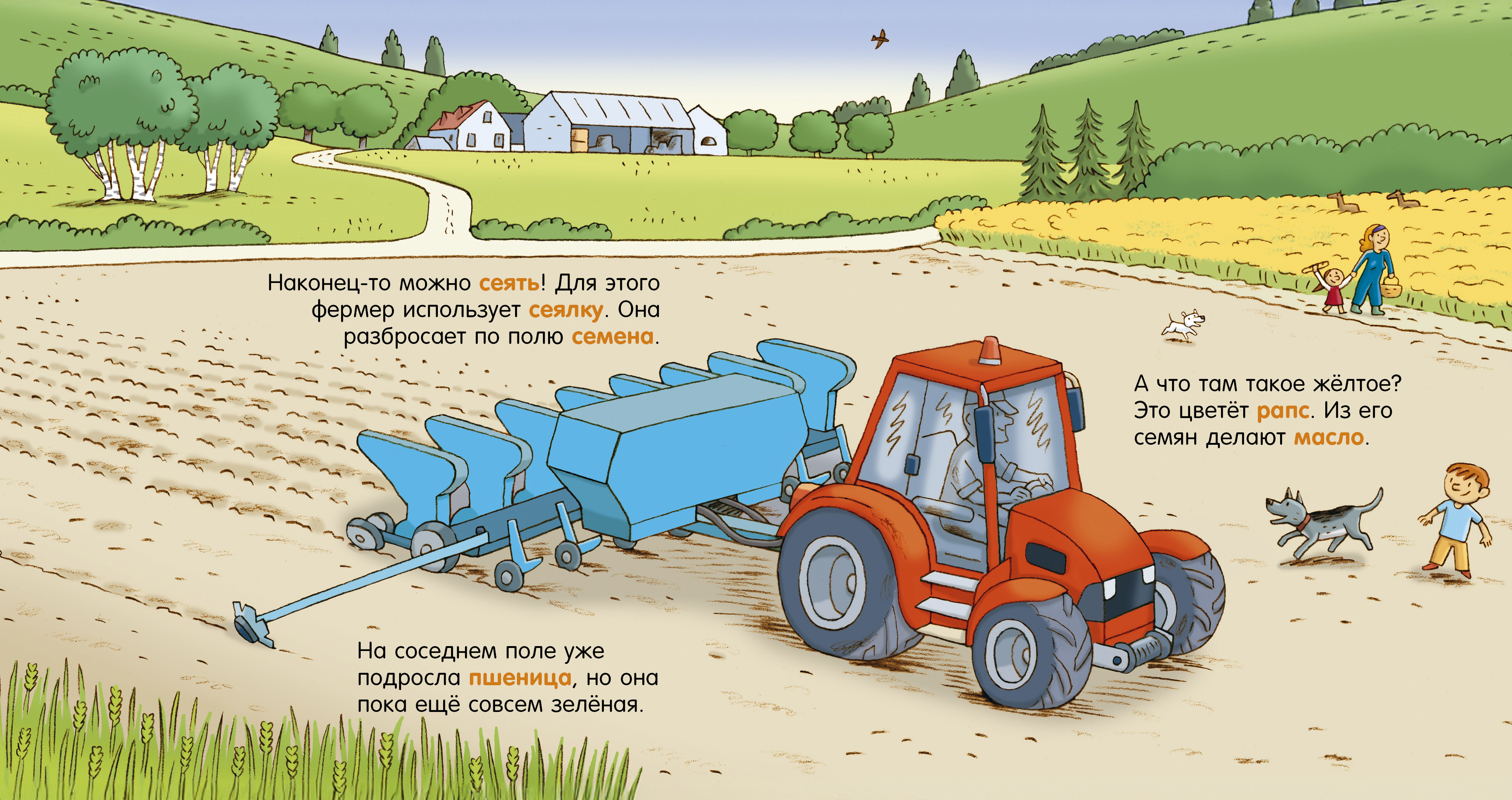 Как устроен мир? Clever Ферма - фото 2