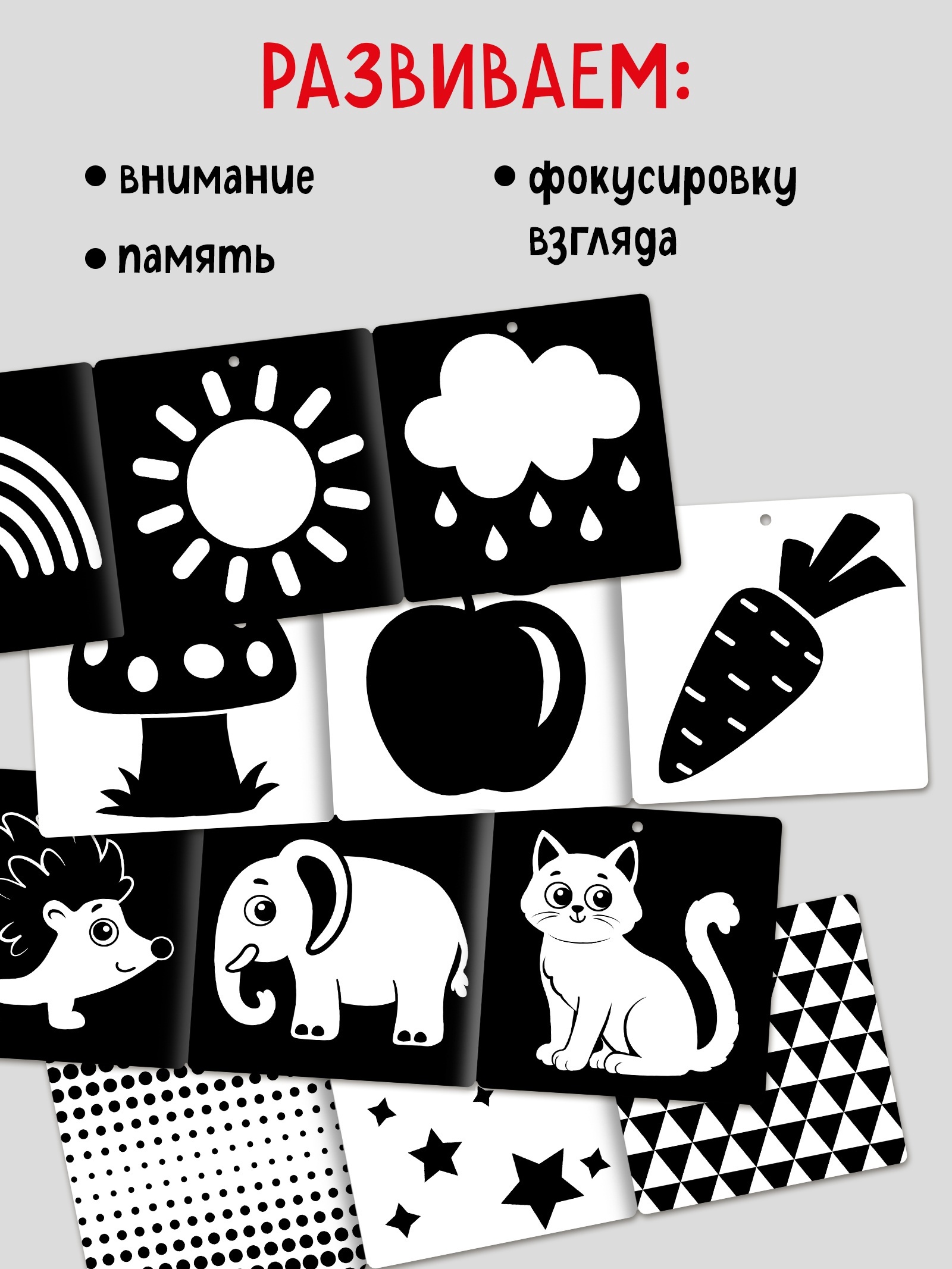 Набор Буква-ленд картонных книжек гармошек Смотри малыш 6 шт - фото 2