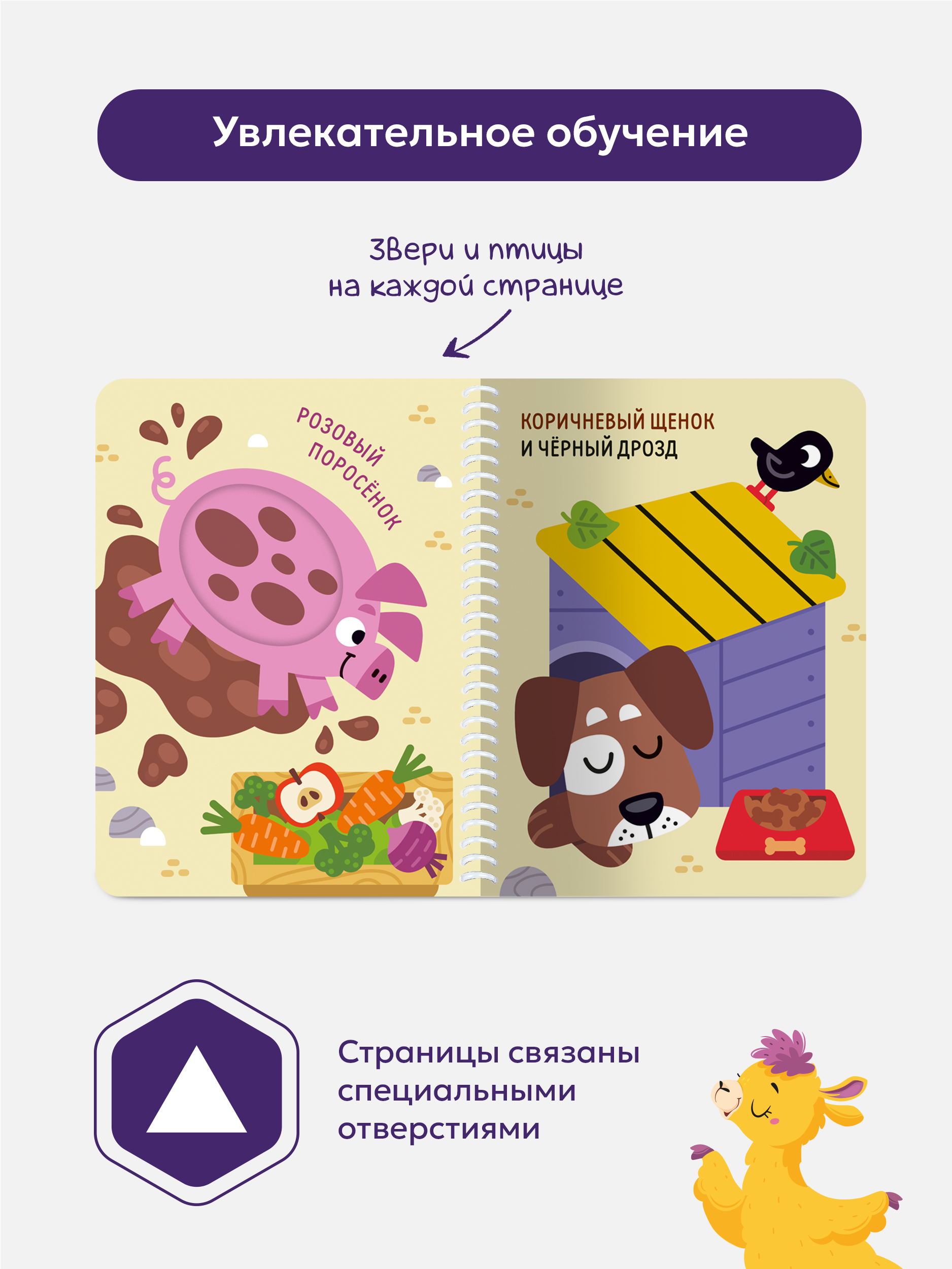Книжка на спирали Malamalama Волшебные превращения Ква-ква. Лягушонок и его друзья - фото 3