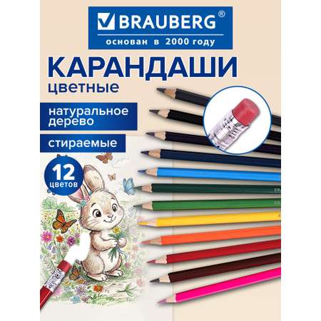 Карандаши цветные Brauberg 12 шт.