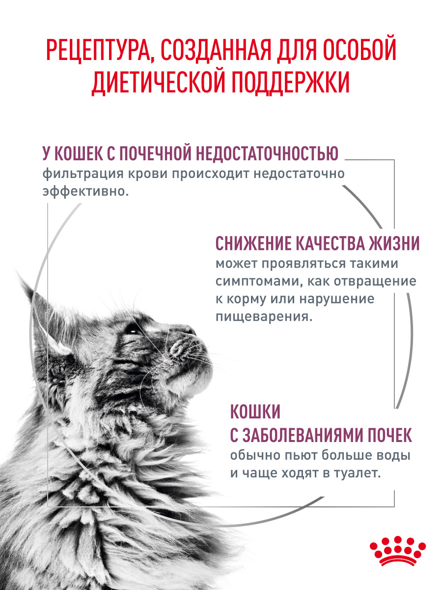 Корм для кошек ROYAL CANIN Renal RF23 лечение заболеваний почек 4кг - фото 2