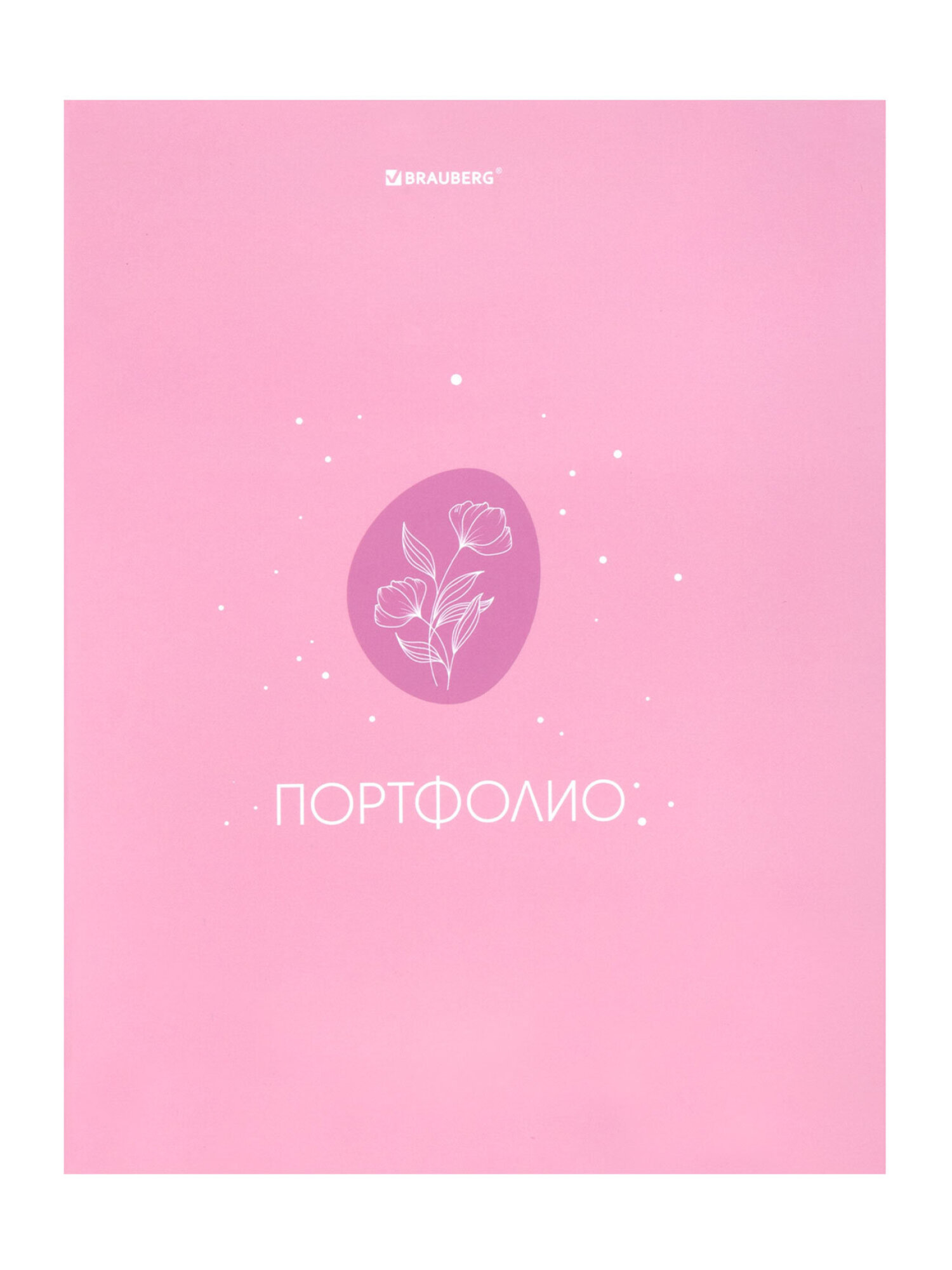 Портфолио школьника Brauberg папка А4 на кольцах 20 файлов для девочки - фото 9