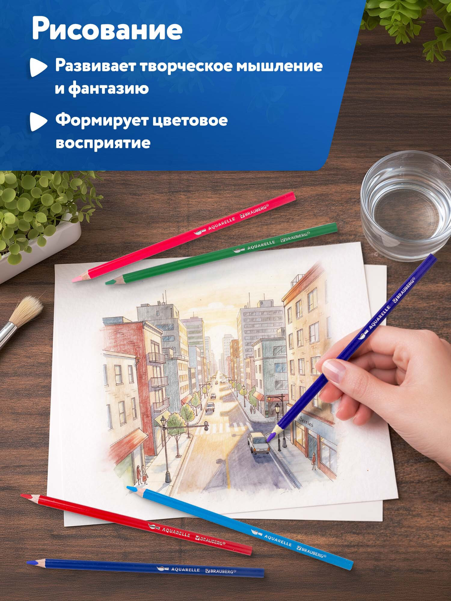 Карандаши акварельные Brauberg 12 шт. - фото 6