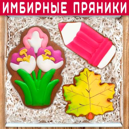 Пряники имбирные ручной работы Вкусный подарок Подарочный набор на 1 сентября и День учителя