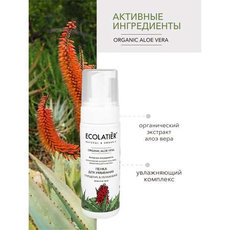 Пена Ecolatier 150 мл