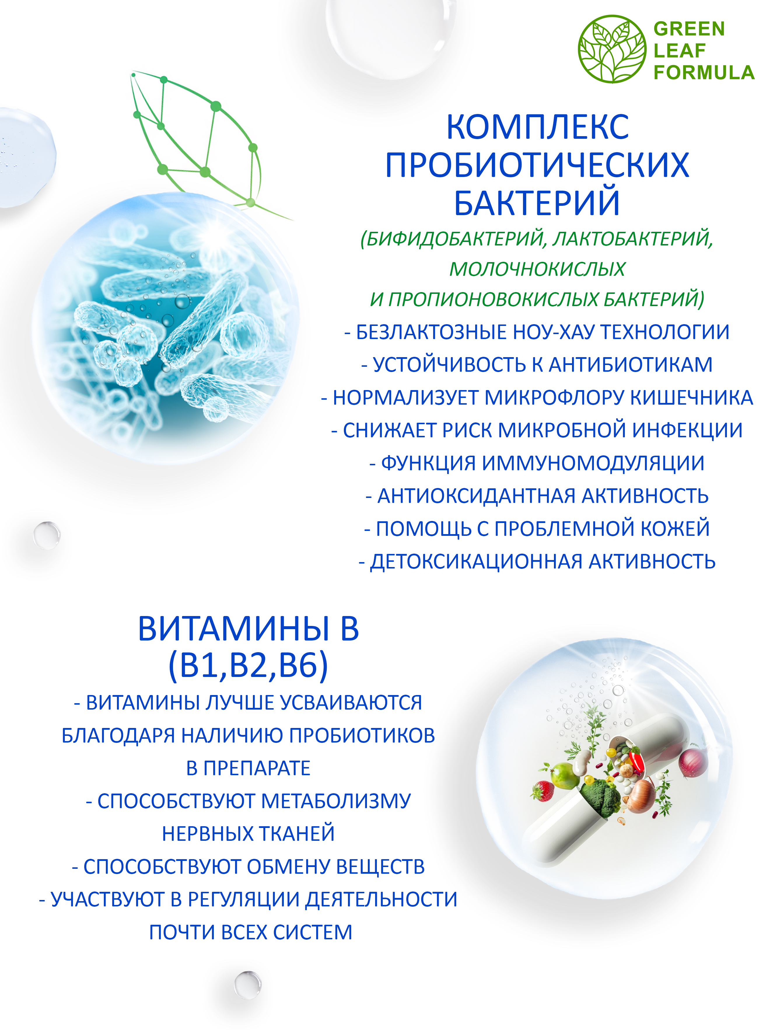 Метабиотик и витамины В Green Leaf Formula комплекс пробиотиков для кишечника - фото 5