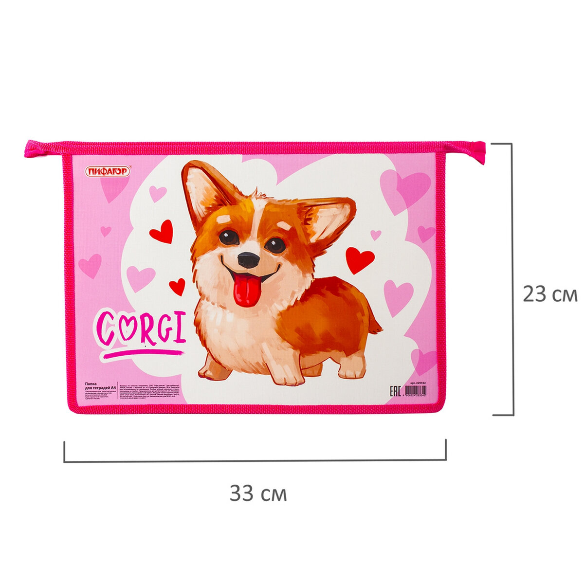 Папка для тетрадей Пифагор А4 - фото 9