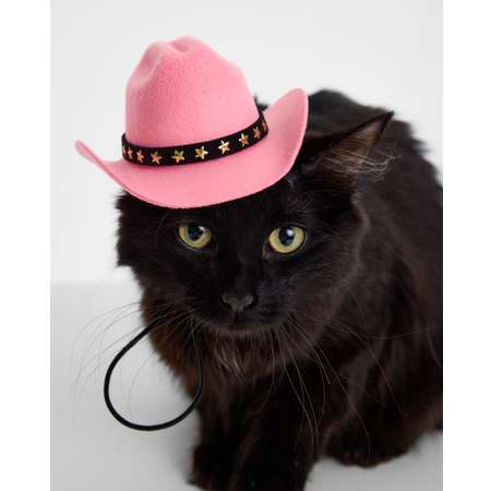 Шляпа для собак и кошек Зоозавр