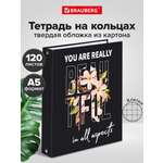 Тетрадь со сменным блоком Brauberg клетка 120 лист.