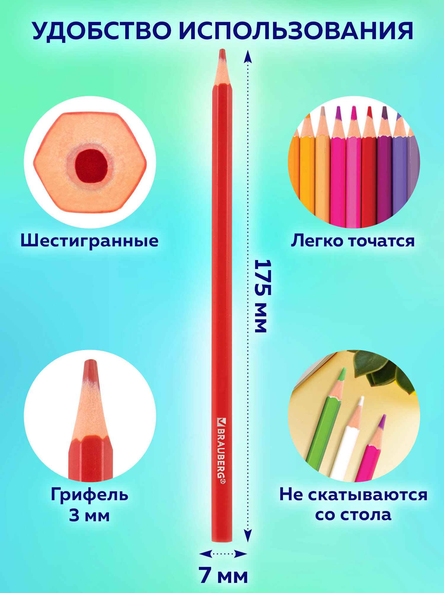 Карандаши цветные Brauberg 48 шт. - фото 4