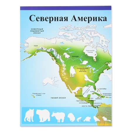 Книга Лабиринт Животные Наша планета