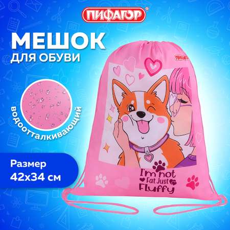 Мешок для обуви Пифагор