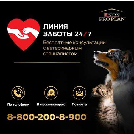 Корм для собак сухой PRO PLAN средних пород с чувствительным пищеварением с содержанием ягненка 6+1кг