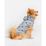 Толстовка для собак Зоозавр серая 40