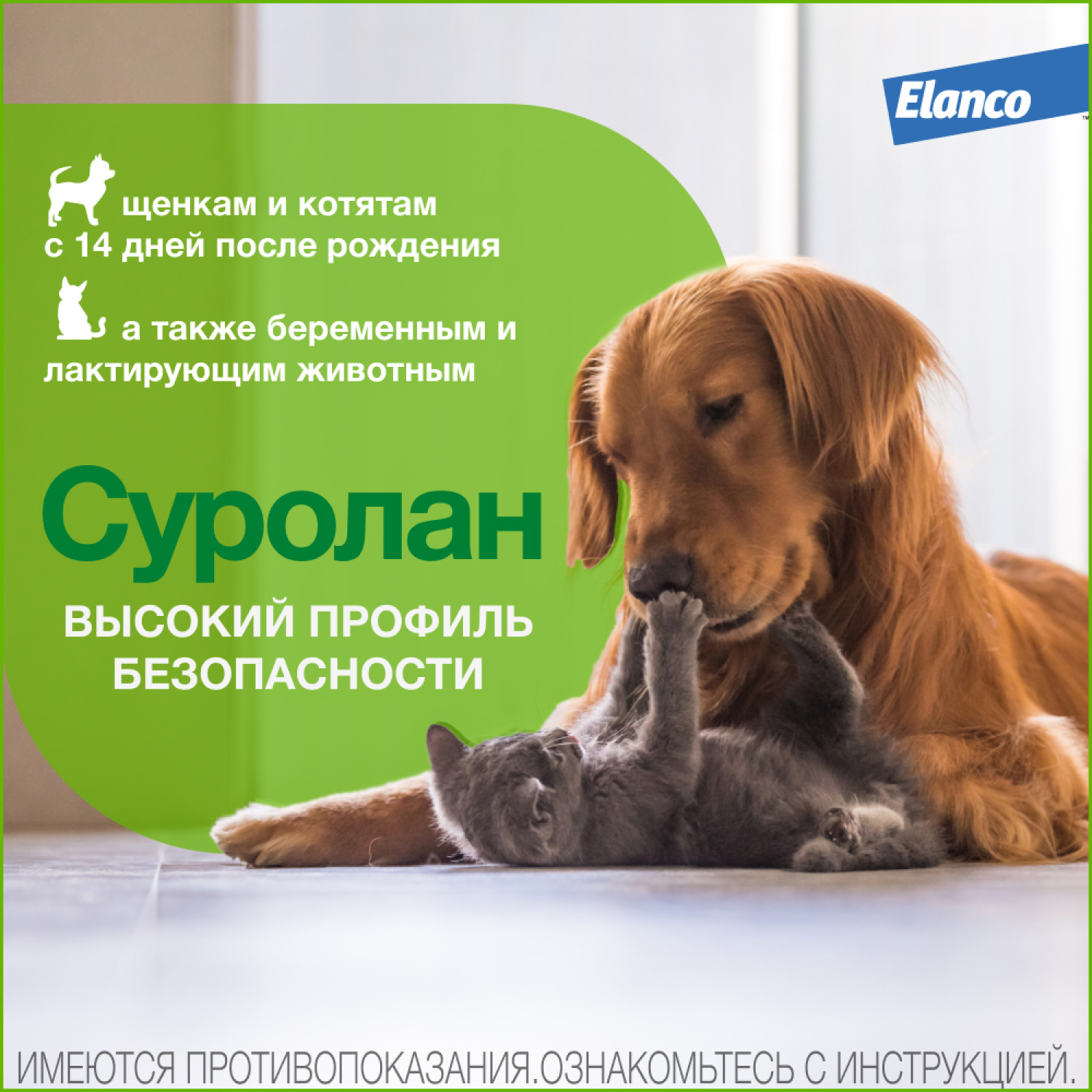 Препарат для собак и кошек Elanco Суролан антигрибковый/антимикробный 30мл - фото 4