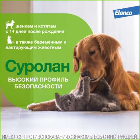 Препарат для собак и кошек Elanco Суролан антигрибковый/антимикробный 30мл