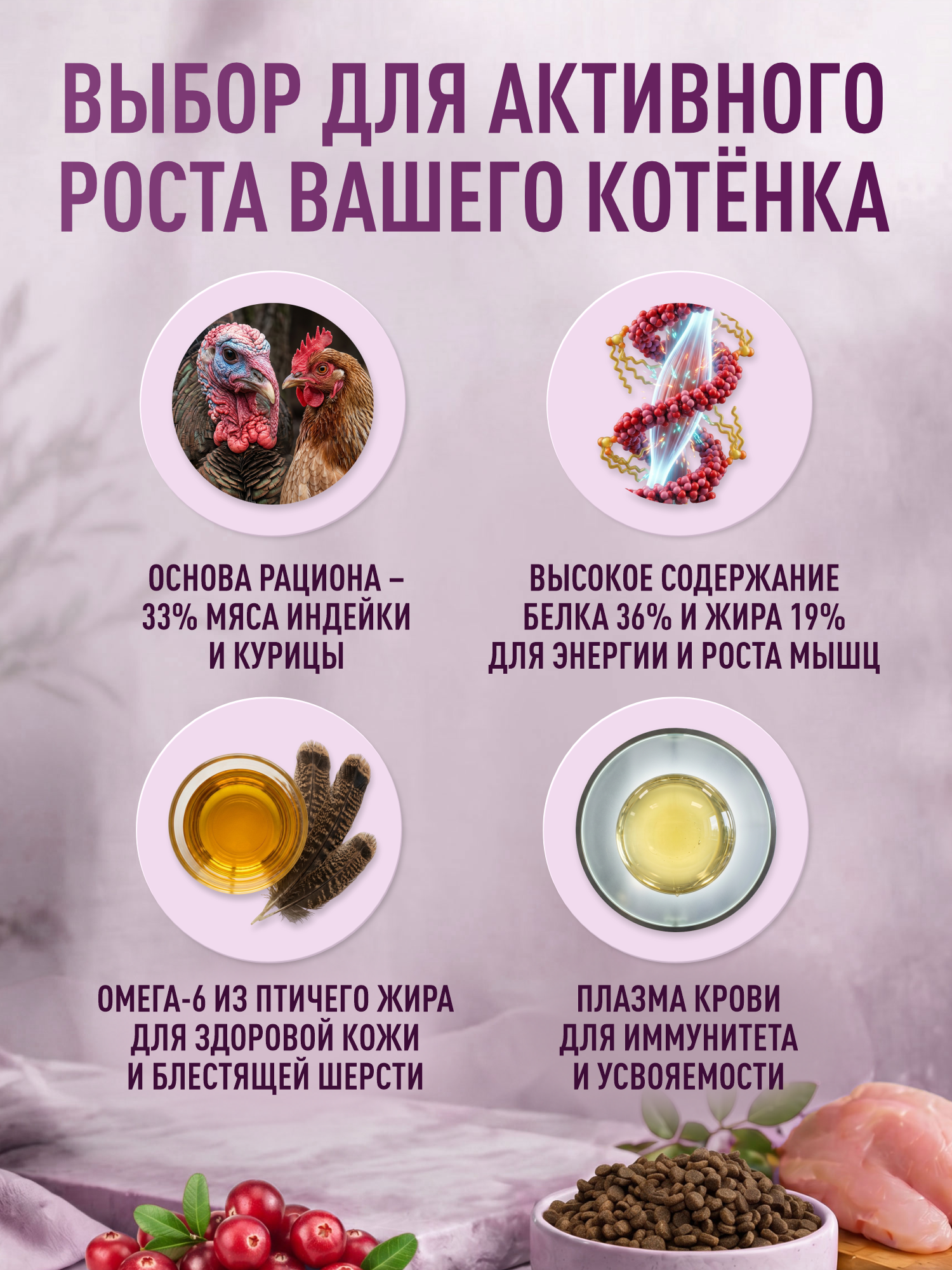 Корм для котят сухой Clan Classic Kittens 36/19 курица с индейкой 1.25кг - фото 2