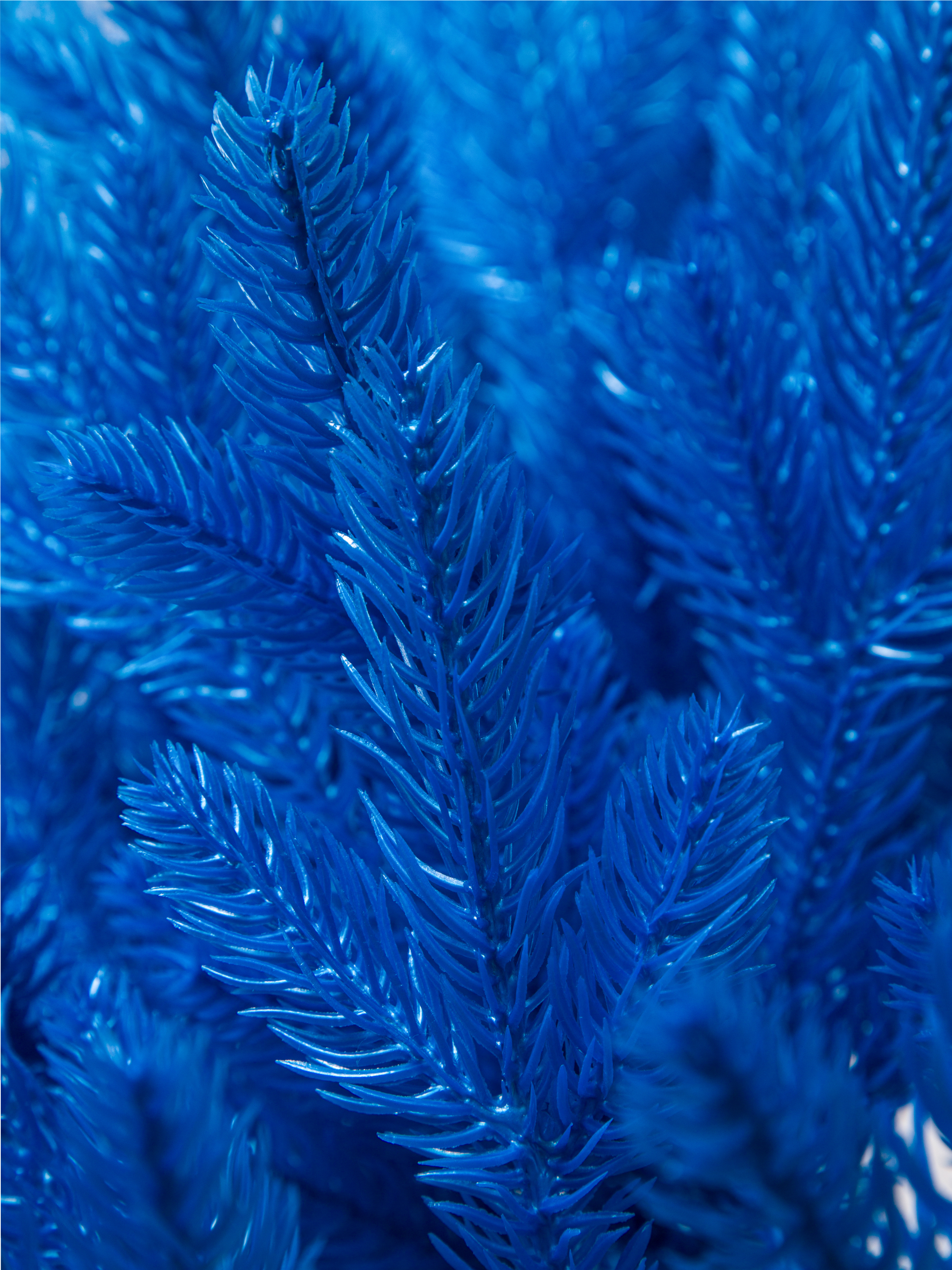 Ель Арфа синяя литая Империя Ёлок 80 см - фото 4