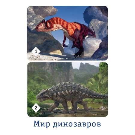 Настольная игра Нескучные игры Мемо