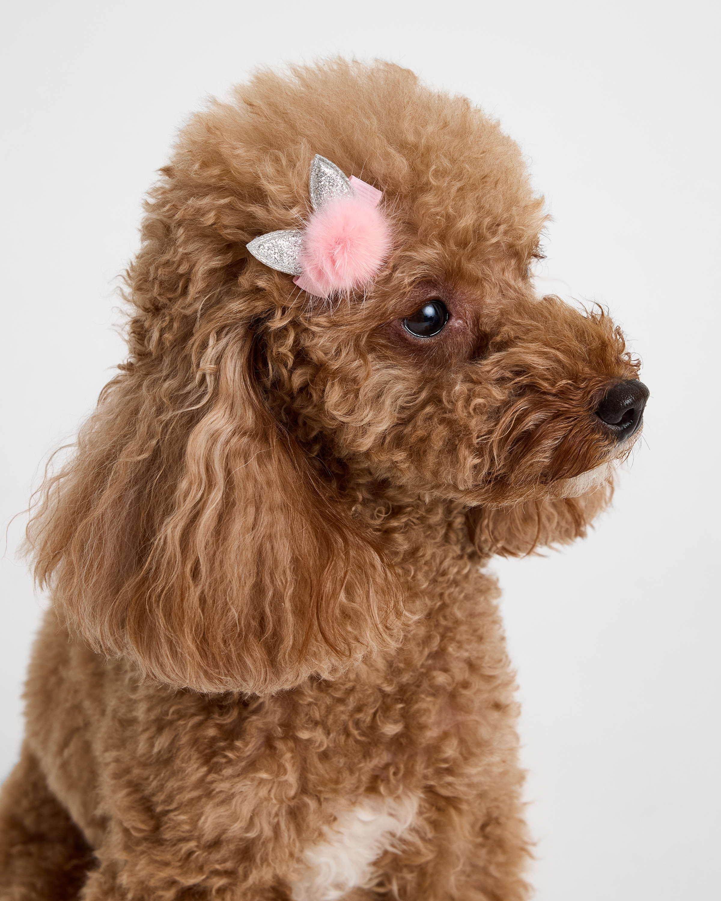 Заколки для собак и кошек Зоозавр - фото 2