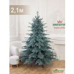 Ель Монарх цвет голубой Империя Ёлок 210 см