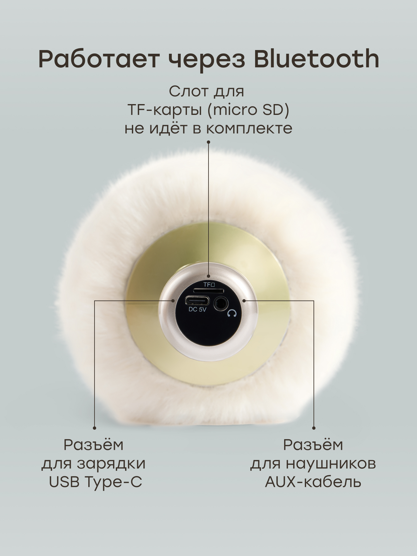 Игрушка музыкальная Happy Baby микрофон - фото 5