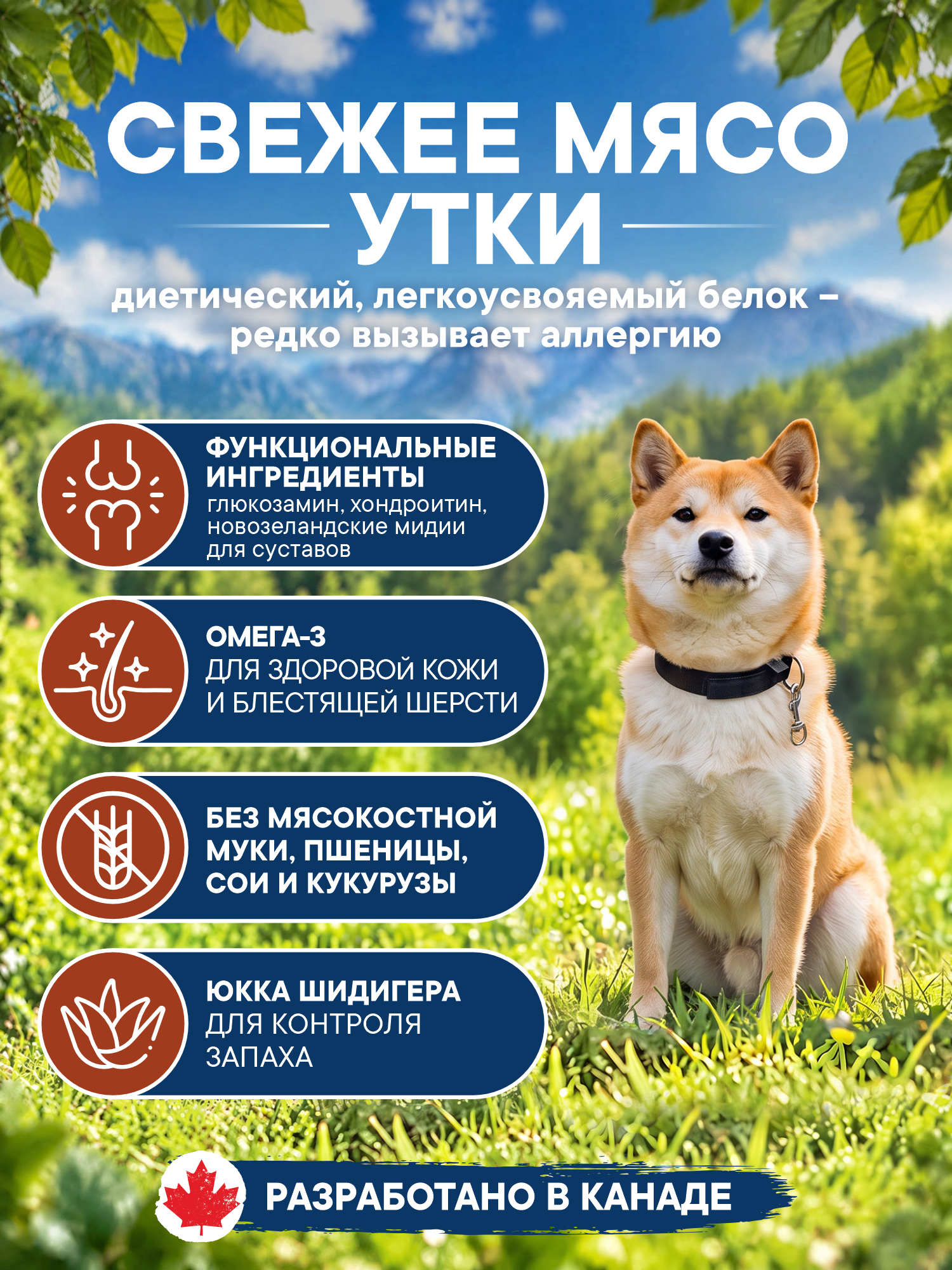 Корм для собак сухой Pronature Holistic Pan-Asia Grain Free беззерновой на утке с апельсином 10кг - фото 2
