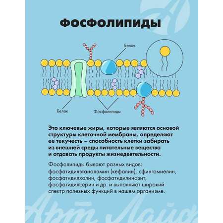 Лецитин-гель 165 гр Арт Лайф С витаминами для преодоления психоэмоционального напряжения