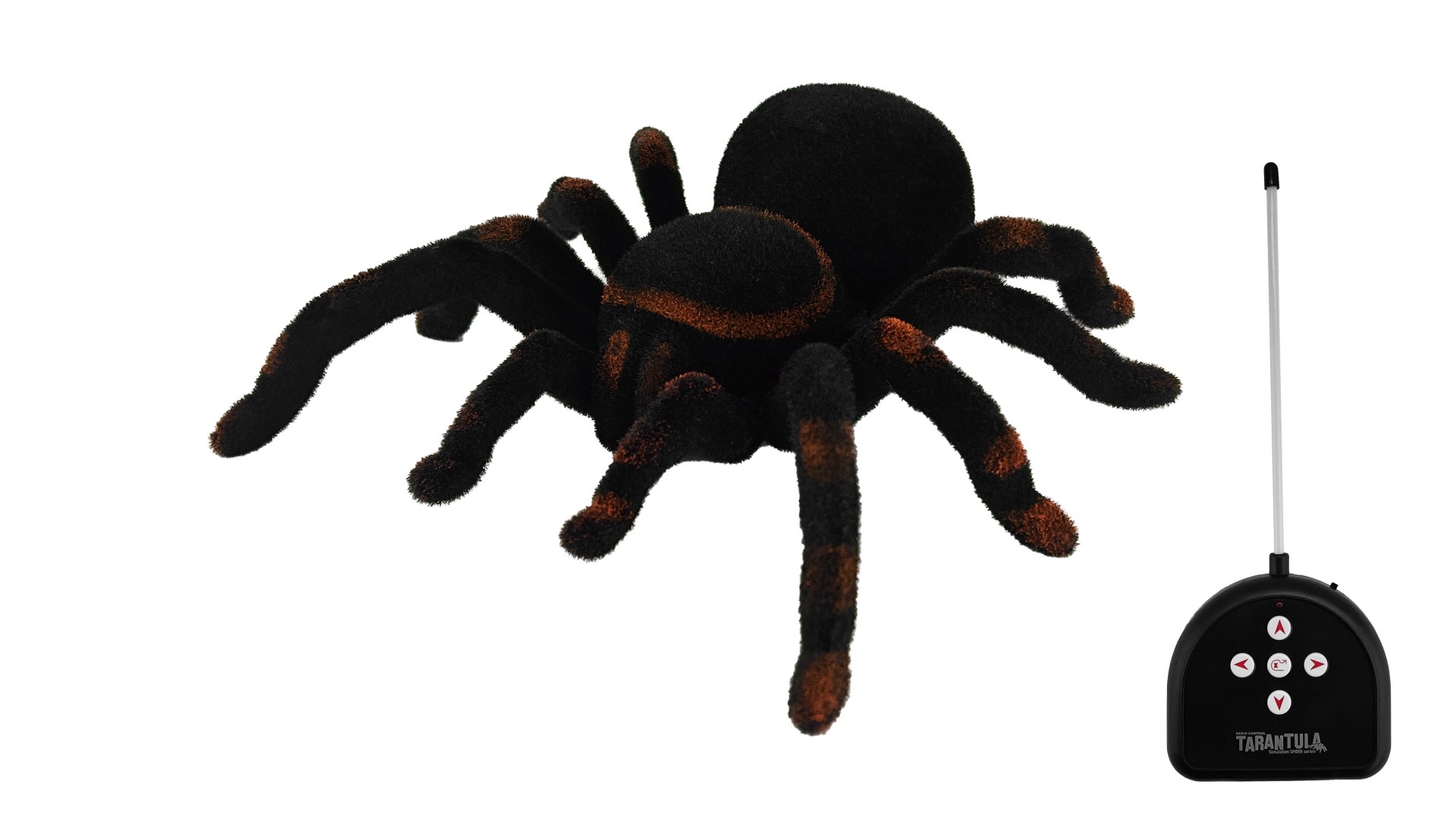 Паук РУ Cute Sunlight Toys Tarantula - фото 1